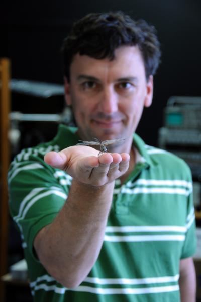 Steven Wiederman, University of Adelaide