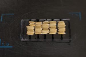 Seed rice in hull for X-ray imaging