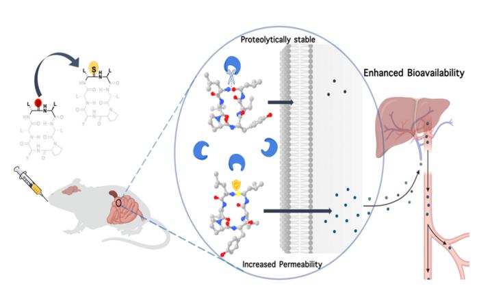 Macrocyclic peptide PR Nishant Raj