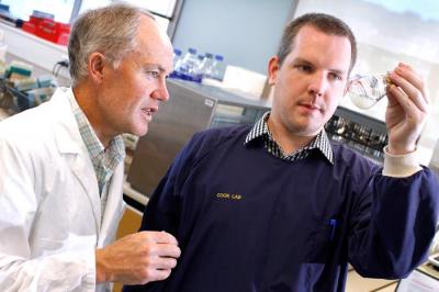 Mycobacteria Metabolism Discovery May Pave Way For New Tb Drugs