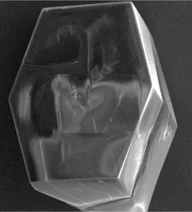 Lysozyme Crystal