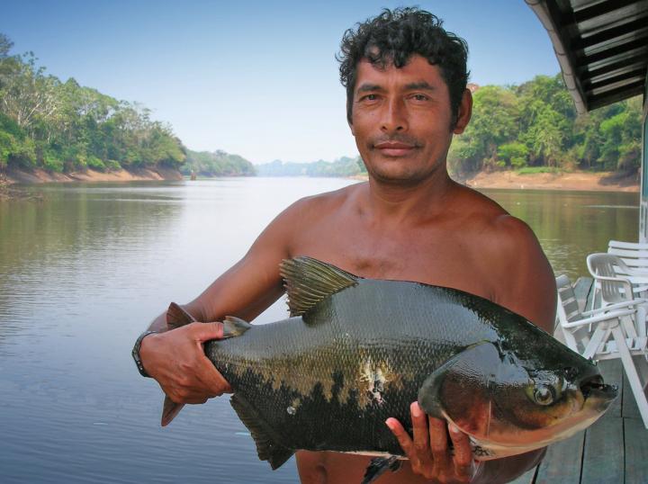 Amazon 1