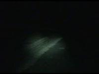 Green Turtle Laying Eggs