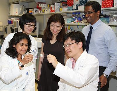 Members of the Research Team