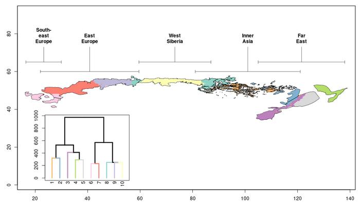 Hierarchical clustering of the Eurasian forest-steppe zone into ten clusters