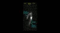 Microscope Movie of a Condensin Protein that Extrudes a DNA Loop