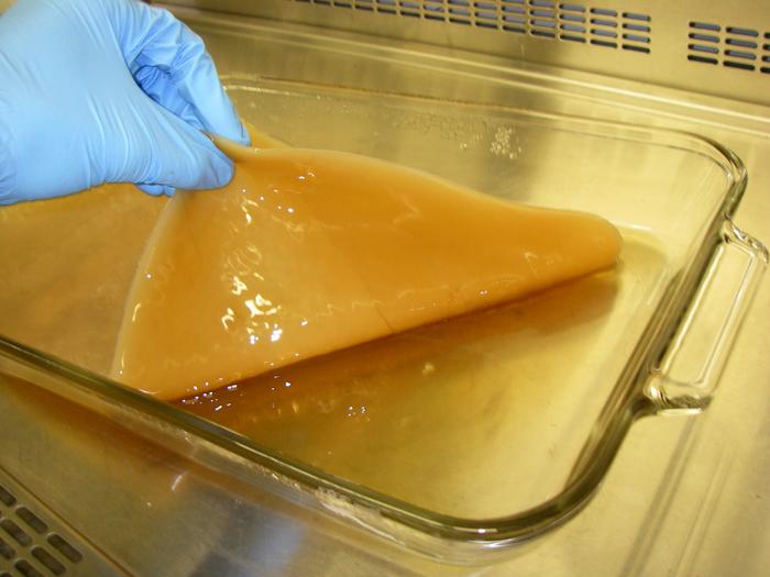 Bacterial cellulose as a precursor to powerful supercapacitor electrodes