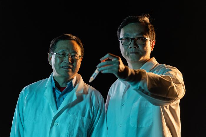 Mizzou researchers Baolin Deng and Pan Ni