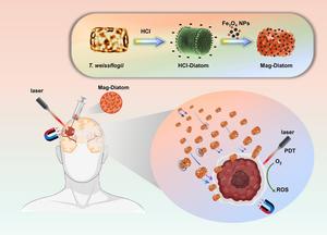 Schematic illustration of Mag-Diatom-mediated PDT