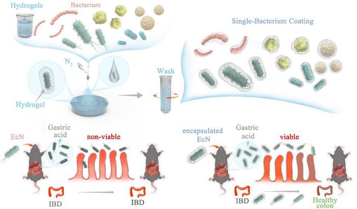 图1：文章总体示意图