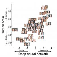 Pairs of Faces Plotted on Graph