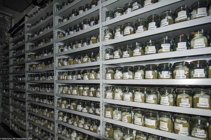 Seed Storage