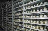 Seed Storage