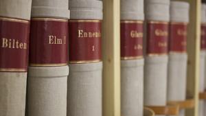 The parish registers of Elm