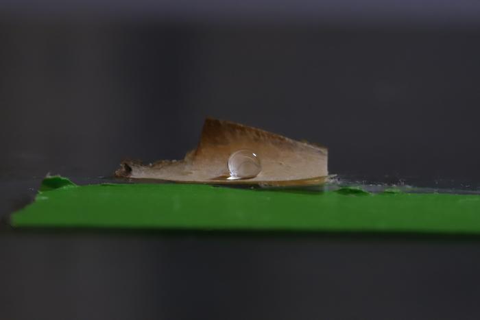 Mycelium Packaging feature image