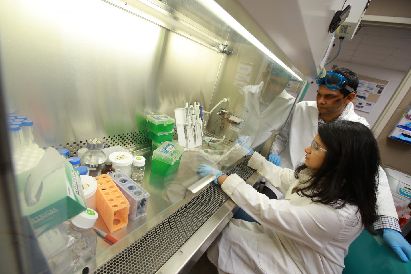 UToledo Cellular Chemists