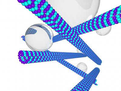 Targeting the Microtubules