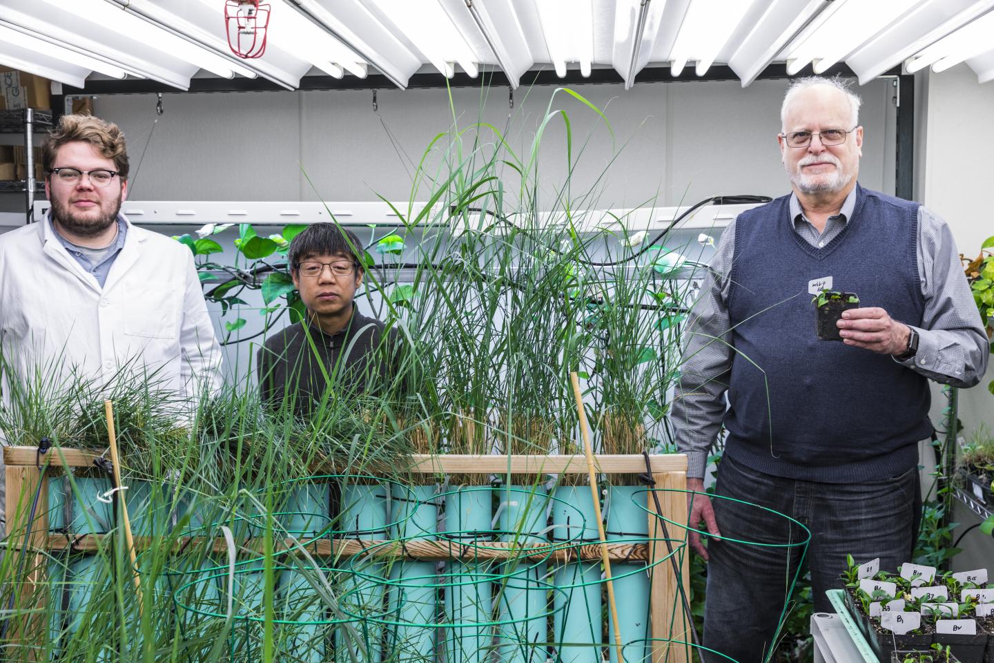The Team behind the Modified Houseplants