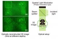 Making a Hologram