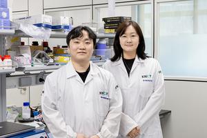 [3] Key contributors to the paper