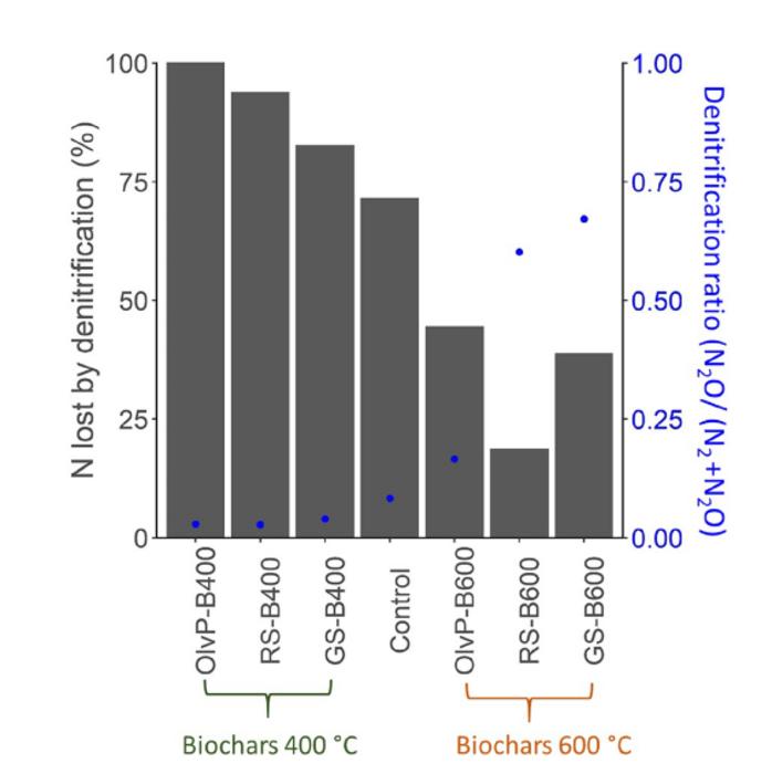 Key biochar properties linked to denitrification products in a calcareous soil