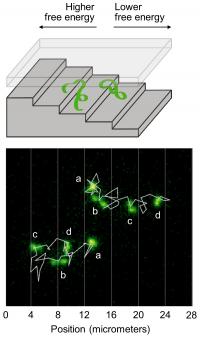 DNA Strand Going Up a Nanoscale Staircase