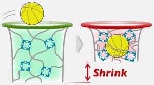 New Porous Gel Changes Appearance by 'Sensing' Target Molecules Through Coordination