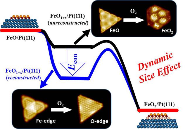 Oxidation Resistance of Active FeO NSs