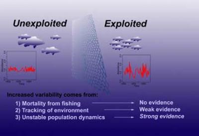 Schematic Outlines Variability on Exploited and Unexploited