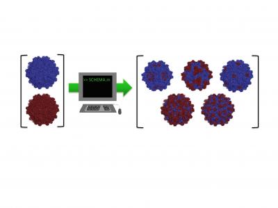 Virus (1 of 2)