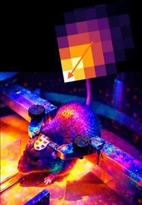 Navigating Mouse
