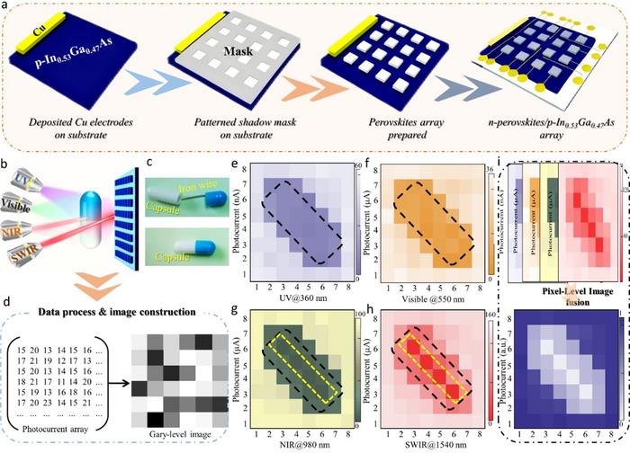 High-sensitivity deep-ultraviolet (DUV) to short-wavelength infrared (SWIR) photodetectors