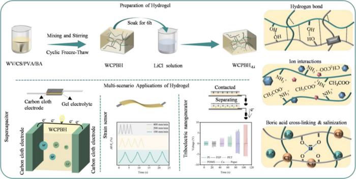 Scaffold-Microenvironment Decoupling Opens New Path for Chitosan Hydrogels in Flexible Electronics