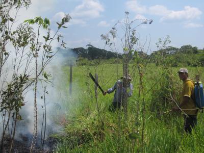 Battling Blazes
