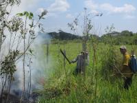 Battling Blazes