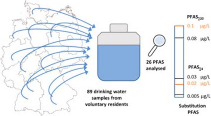 Graphical abstract.