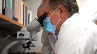 Lab Examination