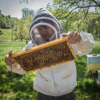 Beekeeper