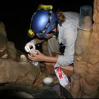 Stalagmite, Yok Balum Cave