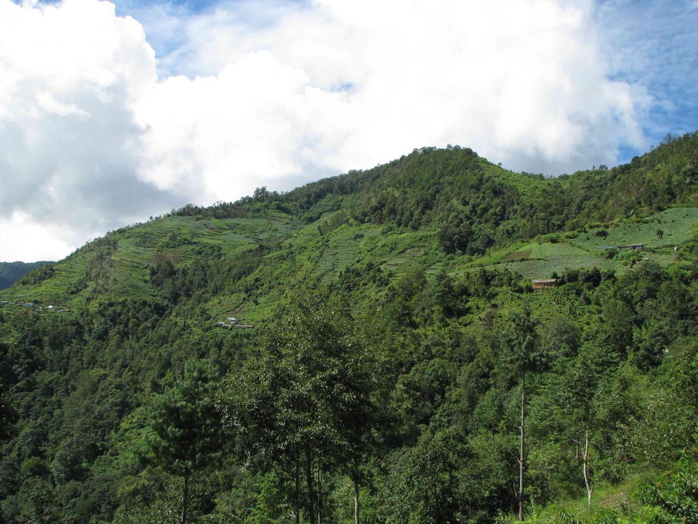 Eastern Himalayas