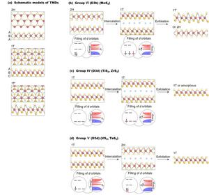 Comprehensive phase evolution map of IV-VI TMDs during lithium intercalation