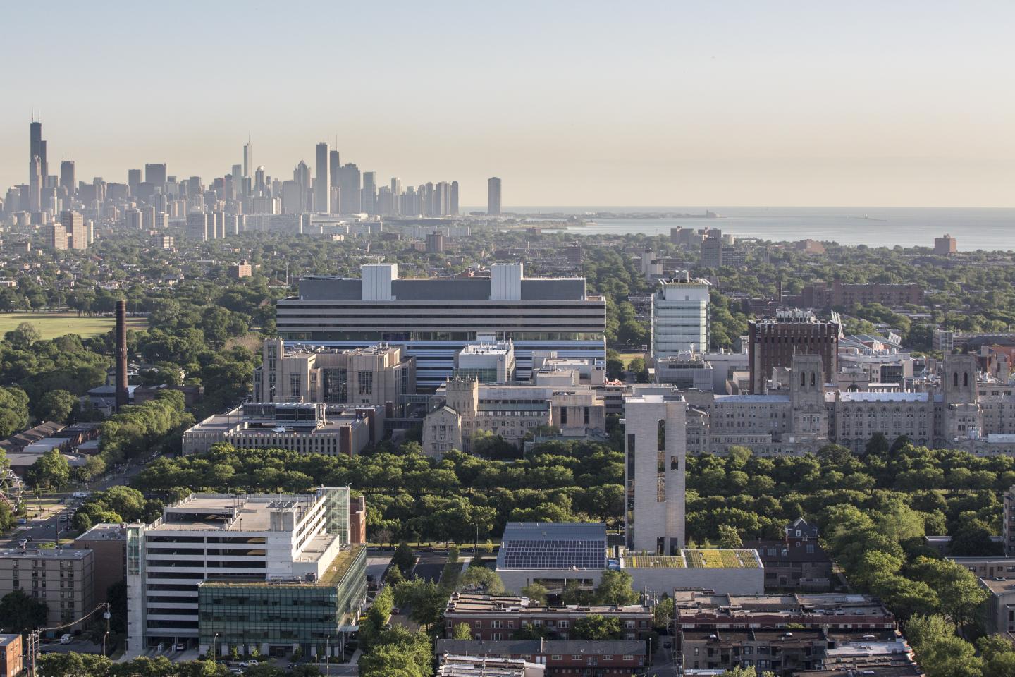 Survey: Cancer, Violence, STIs, Obesity, Diabetes, asthma Among Top Health Concerns for South Siders