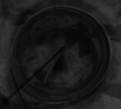 Surface Tension, Not Gravity, Drives Viscous Bubble Collapse (8 of 9)