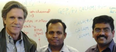 Kevin Foskett, Muniswamy Madesh, and Karthik Mallilankaraman 