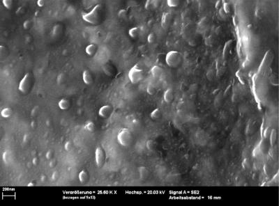 Self-Healing Surfaces