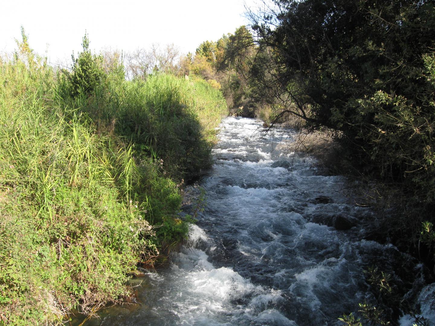 How Drought and Precipitation Declines Disrupted the Biblical City of Tel Dan (4 of 6)