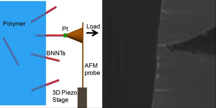 Experimental Set-Up