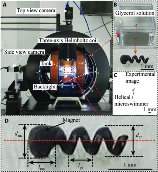 The experimental system