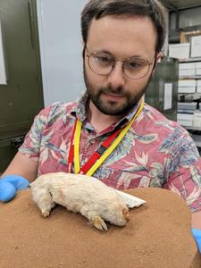 Dr Charles Feigin and a rare marsupial mole