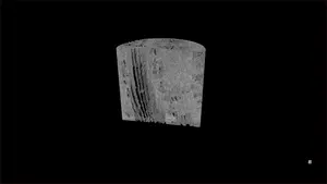 Micro-CT Imaging Stony Coral